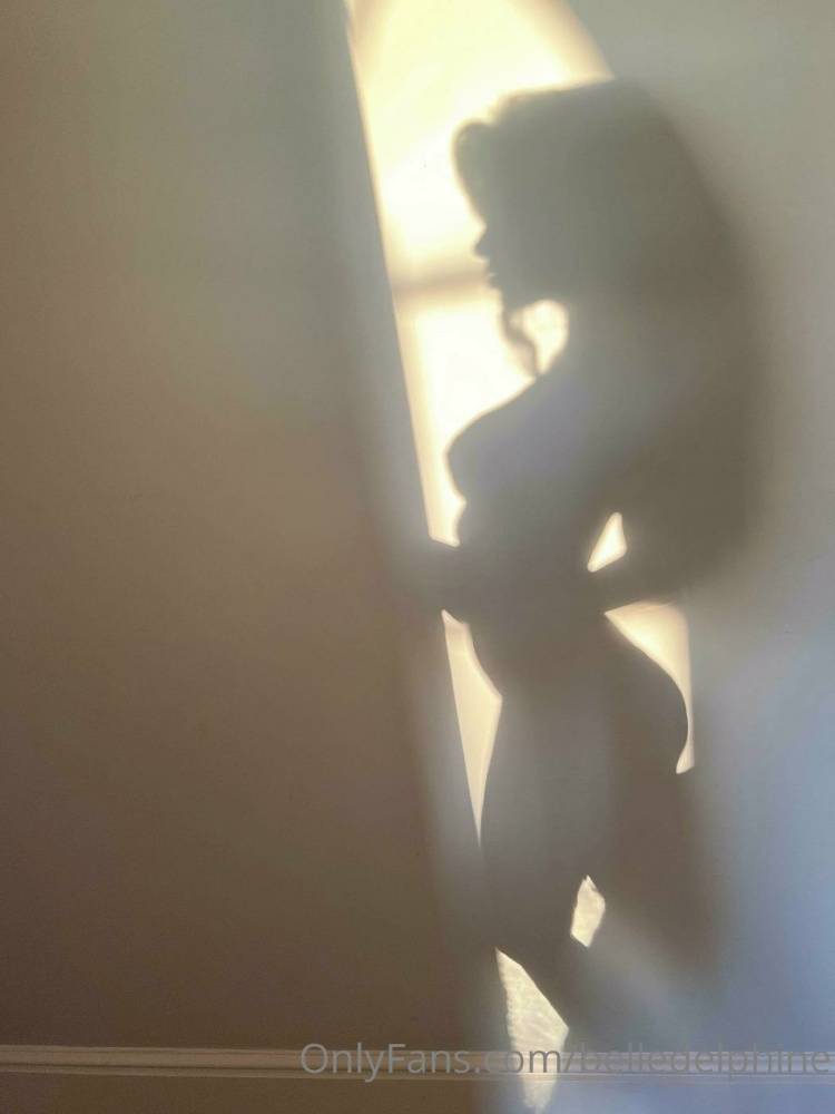 Belle Delphine Shadow Silhouette Onlyfans Set Leaked - #11