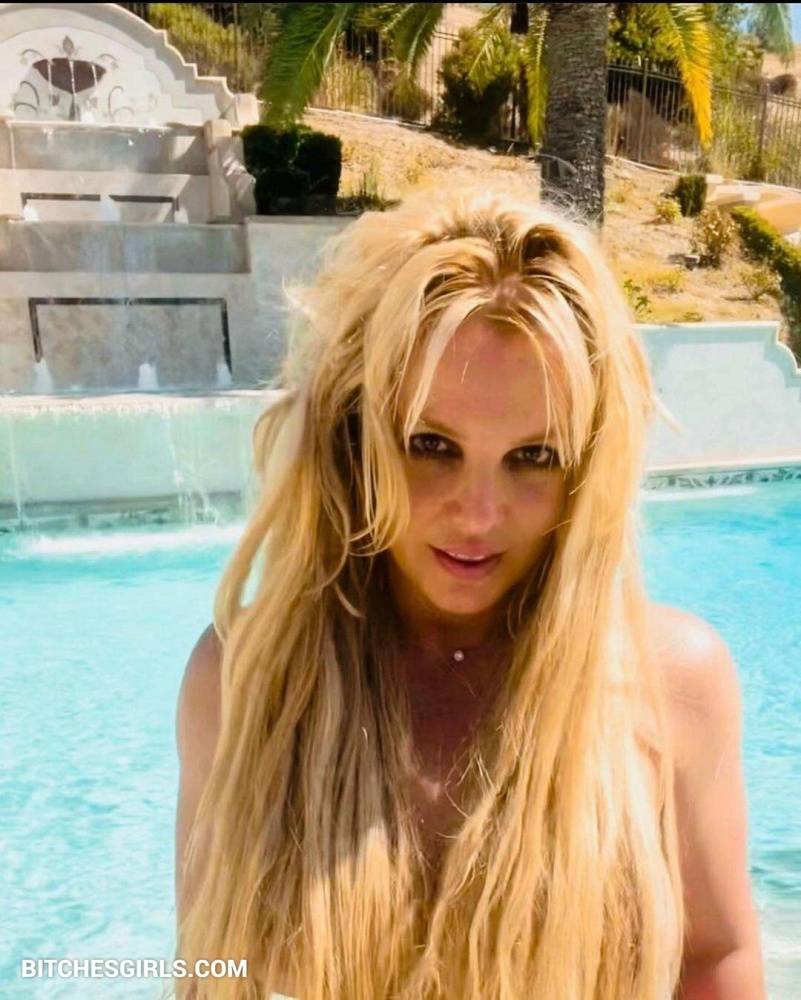 Britney Spears Nude Celebrity Leaked Tits Photos - #8