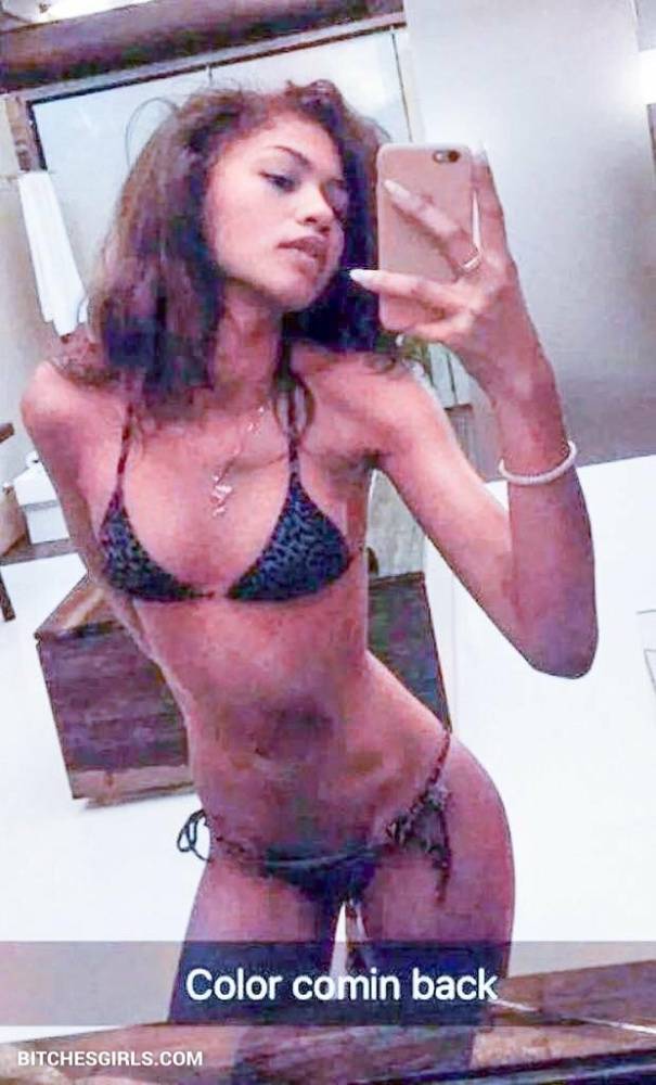 Zendaya Nude Celebrities - Celebrities Leaked Nude Photo - #19