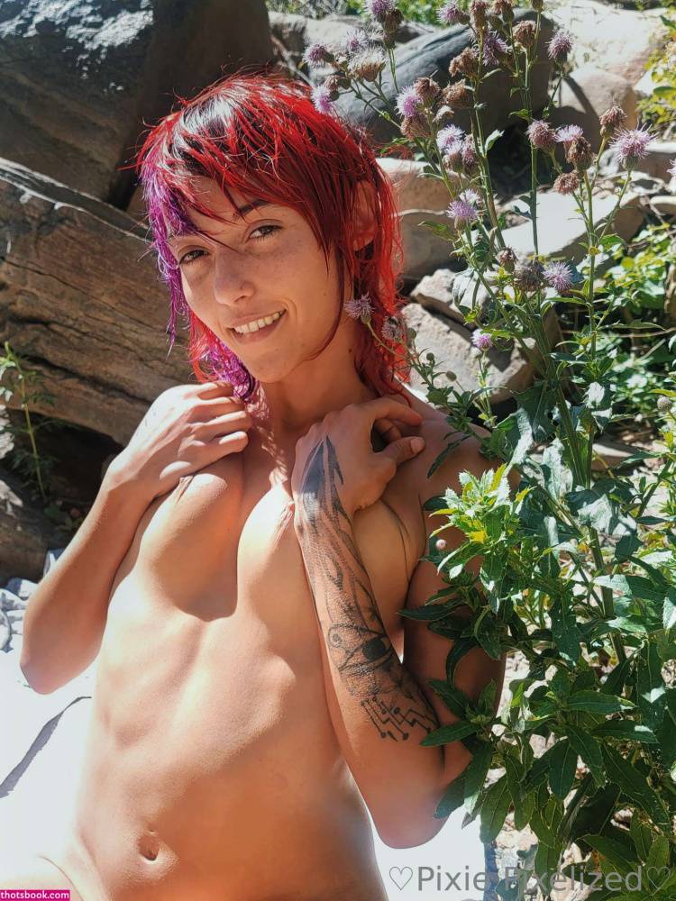 PixiePixelized Nude OnlyFans Photos #9 - #7