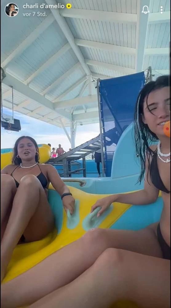 Charli D 19Amelio Bikini Water Slide Video Leaked - #10