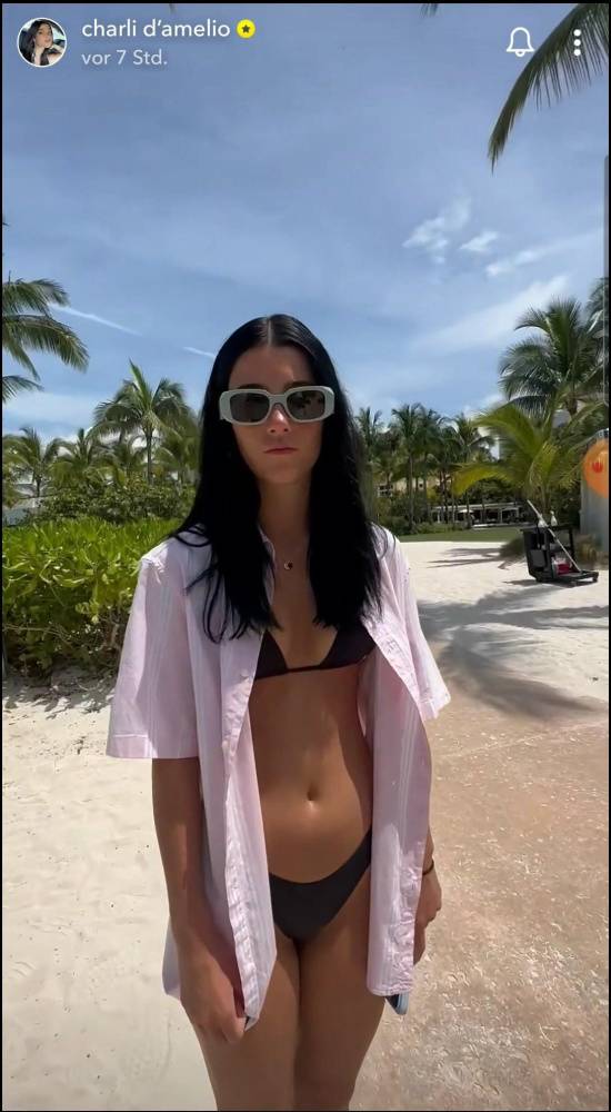 Charli D 19Amelio Beach Pool Bikini Video Leaked - #3