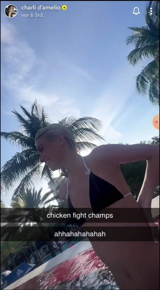 Charli D 19Amelio Beach Pool Bikini Video Leaked - #4