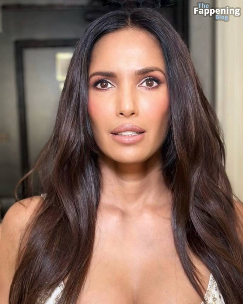 Padma Lakshmi Sexy (6 Photos) - #2