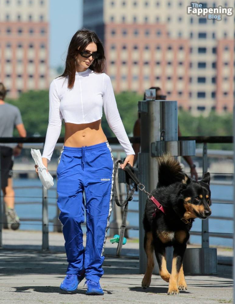 Emily Ratajkowski Goes Braless in NYC (38 Photos) - #17