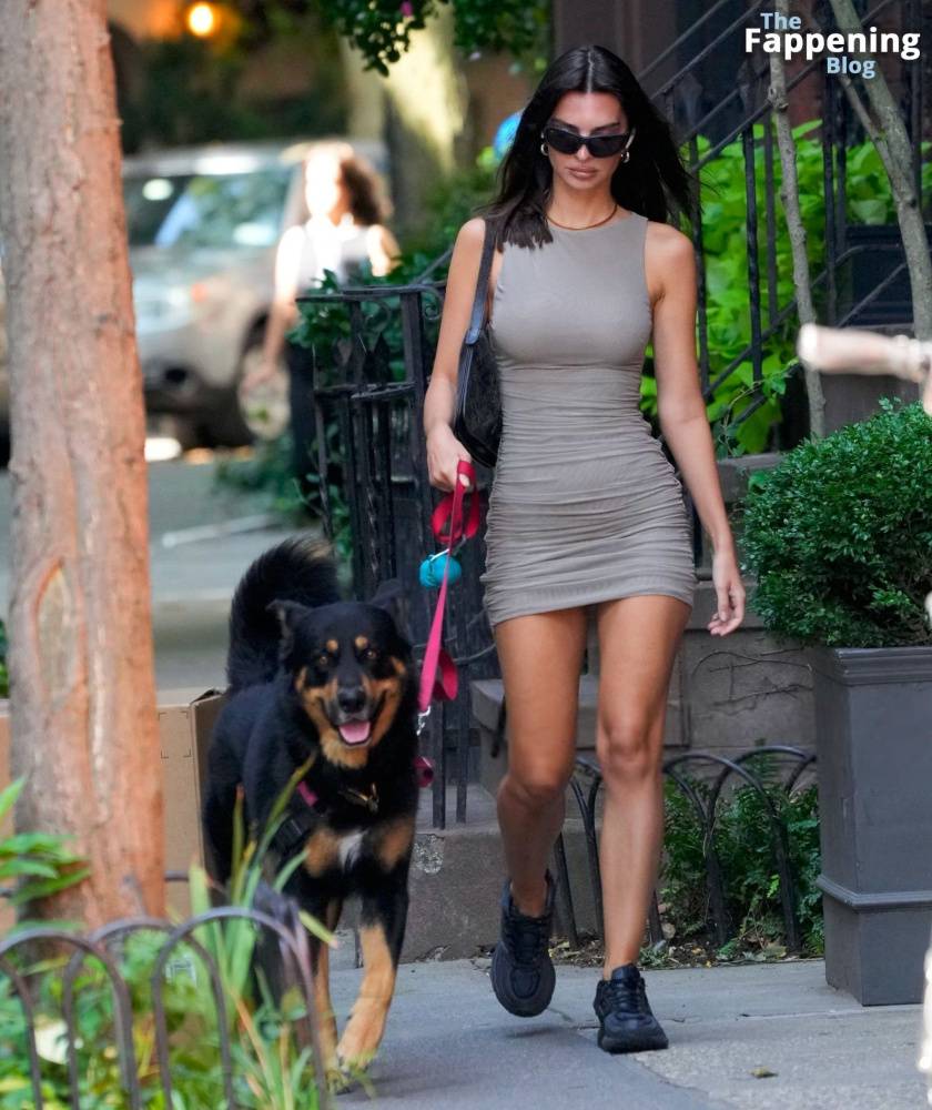 Emily Ratajkowski Looks Hot in a Mini Dress While Walking Her Dog in NYC (32 Photos) - #12