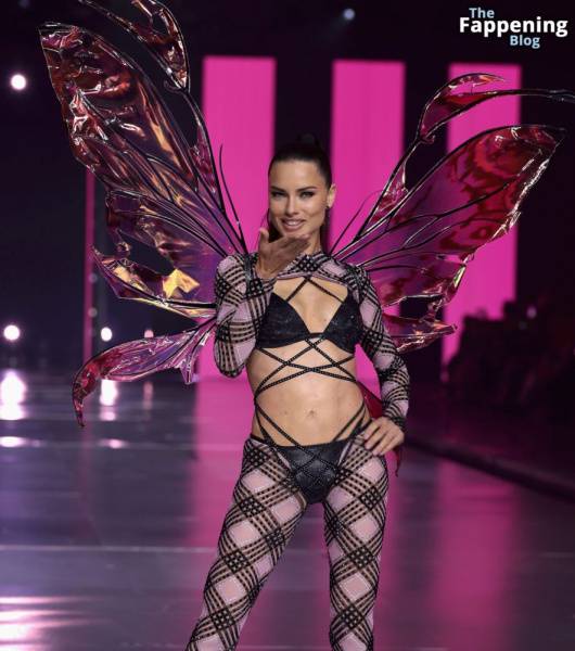 Adriana Lima Stuns at the Victoria’s Secret Fashion Show (80 New Photos) on fansphoto.pics